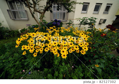 花のある風景 82527302