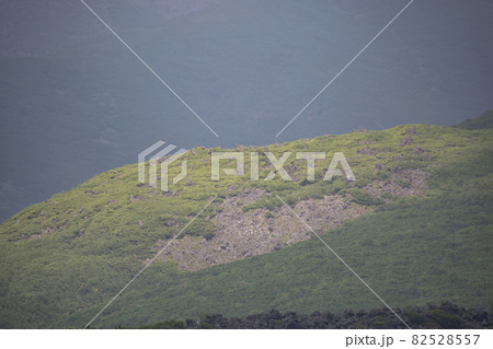 北海道へ観光に行った時のにみた十勝岳 北海道へ観光に行った時のにみた十勝岳 82528557