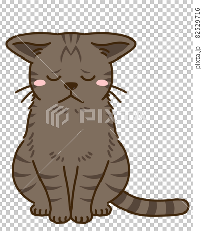 Depressed cat (Kijitora) Depressed cat (Kijitora) 82529716