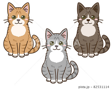 色々な毛色の猫(トラ+白) 色々な毛色の猫(トラ+白) 82531114
