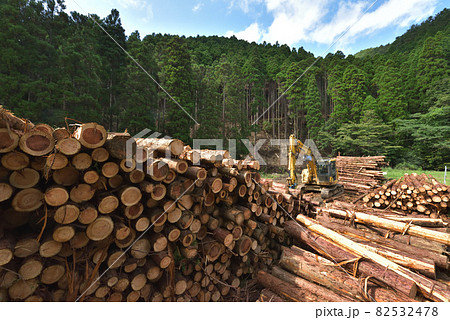 森林整備　間伐材の積み込み作業場の風景　 82532478