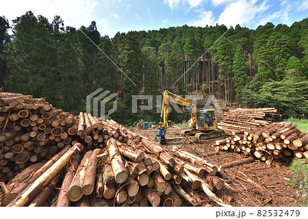 森林整備　間伐材の積み込み作業場の風景　 82532479
