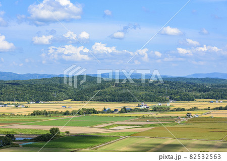 萌の丘　素晴らしい道央の穀倉地帯を望む 82532563