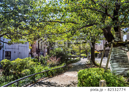 東京都世田谷区の都市風景　世田谷区立北沢川緑道 82532774