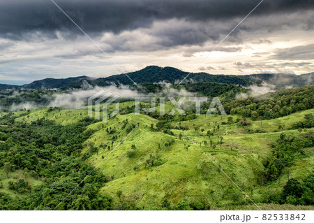 Foggy mountain in tropical rainforest at national park Foggy mountain in tropical rainforest at national park 82533842