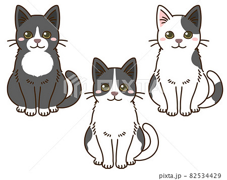 猫（白黒） 82534429