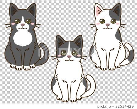 猫（白黒） 82534429