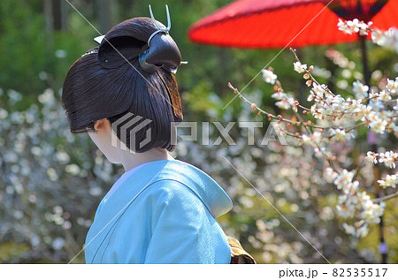 綺麗な芸者の後ろ姿と満開の梅の写真素材