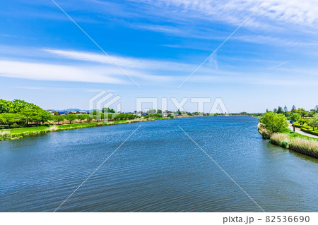 初夏の城沼 群馬県 初夏の城沼 群馬県 82536690