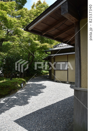 夏の京都　高台寺の風景　 82537340