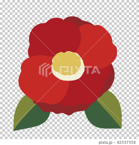 Cute camellia flower illustration 82537358