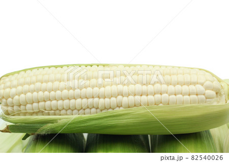 white corn with copy space on white background white corn with copy space on white background 82540026