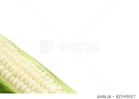 white corn with copy space on white background white corn with copy space on white background 82540027