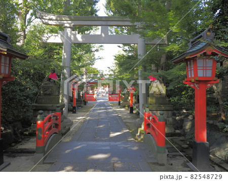 馬橋稲荷神社　東京都杉並区 82548729