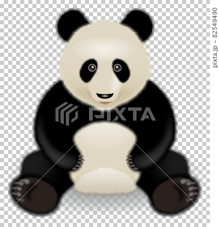パンダのイラスト 82549490