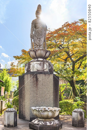 [東京・堀切] 多聞寺の紅葉を背景に立つ弘法大師のご入定千百五十年遠忌を記念する平和観音像。 82550840