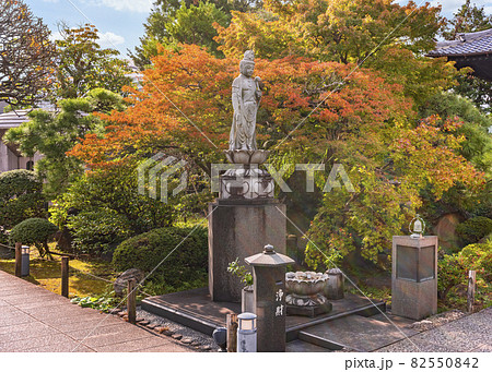 [東京・堀切] 多聞寺の中庭の紅葉の前に立つ弘法大師に捧げられた平和観音像。 82550842