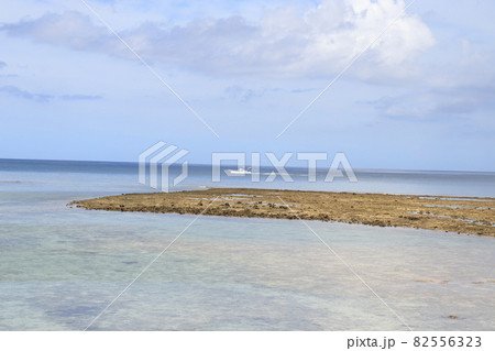 宜野湾市の海岸 82556323