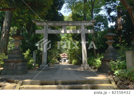 代々木八幡宮、鳥居 82556432