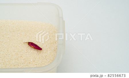 米びつに唐辛子 虫よけの写真素材