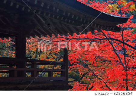 【香川県】四国霊場 第88番札所（紅葉の秋、大窪寺） 82556854