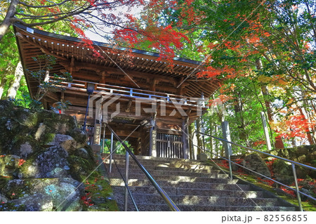 【香川県】四国霊場 第88番札所（紅葉の秋、大窪寺） 82556855