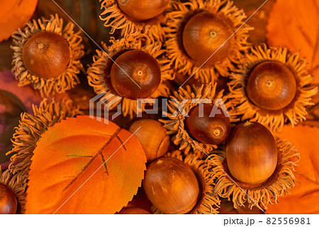 ハロウィン秋のイメージ 82556981