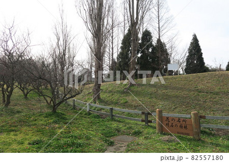 石ケ谷公園~明石の梅林~ 石ケ谷公園~明石の梅林~ 82557180