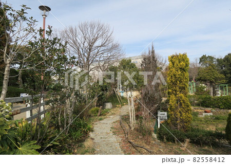 石ケ谷公園～ひだまりの広場～ 82558412
