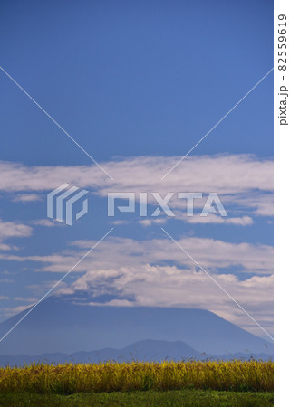 実りの秋と富士山 実りの秋と富士山 82559619