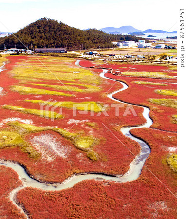 紅葉 風景 秋 82561251