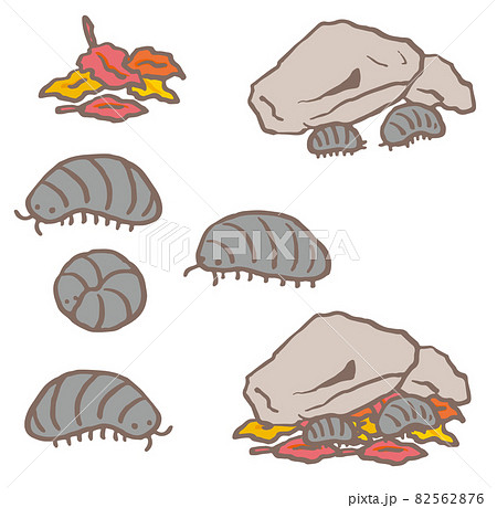 みんな大好きダンゴムシ 82562876