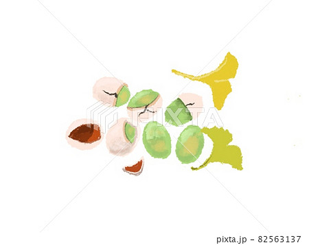秋の味覚！銀杏のイラスト 82563137