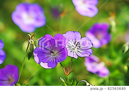 パステル調 ”フウロソウ 花 植物” イラストイメージ パステル調 ”フウロソウ 花 植物” イラストイメージ 82563680