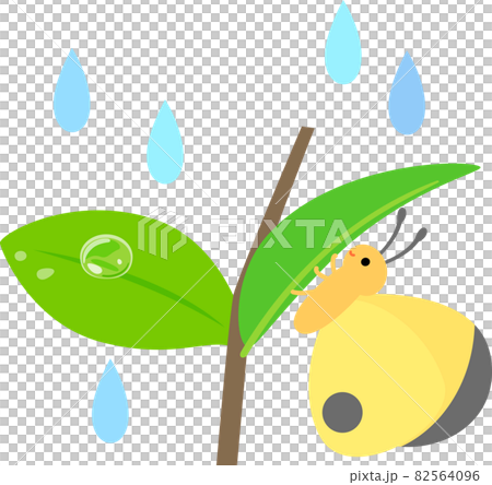 蝴蝶躲在樹葉後面避雨 82564096