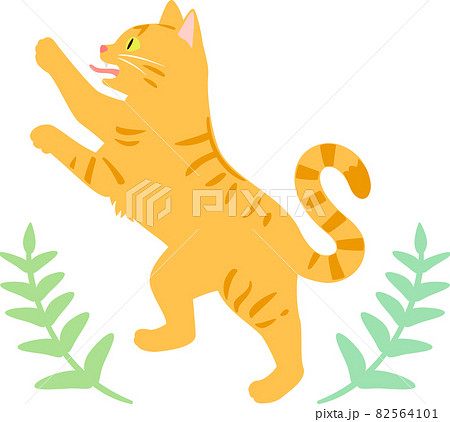 トラネコの紋章風イラストのイラスト素材