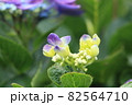 世の中に 82564710