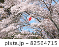 国花 82564715