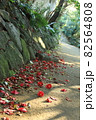 道案内 82564808