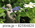 花を語る 82564820