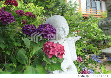 花を枕に花のゆめ 花を枕に花のゆめ 82564821