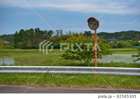 初夏のカーブミラーがある風景《いすみ市》 82565305