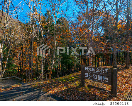 紅葉が終わる公園 (ヨシ沼園地、奥塩原、栃木県) 82566118