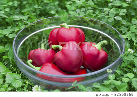 Sweet red peppers in a glass basket on green grass. Vegetables for vegans. The red sweet bell pepper, good for health. Sweet red peppers in a glass basket on green grass. Vegetables for vegans. The red sweet bell pepper, good for health. 82568269