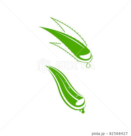 Aloe Vera Vector icon design illustration Aloe Vera Vector icon design illustration 82568427