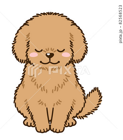 Bowing Toy Poodle Brown Stock Illustration
