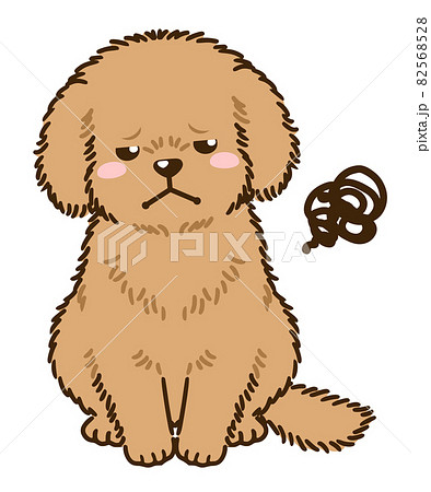 Dissatisfied Toy Poodle Brown Stock Illustration