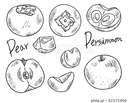 柿や梨の白黒手書きイラストイメージのイラスト素材
