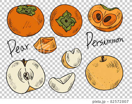 柿や梨の手書きイラストイメージのイラスト素材