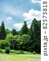 里山を走る夏空の真岡鉄道沿線 82573818